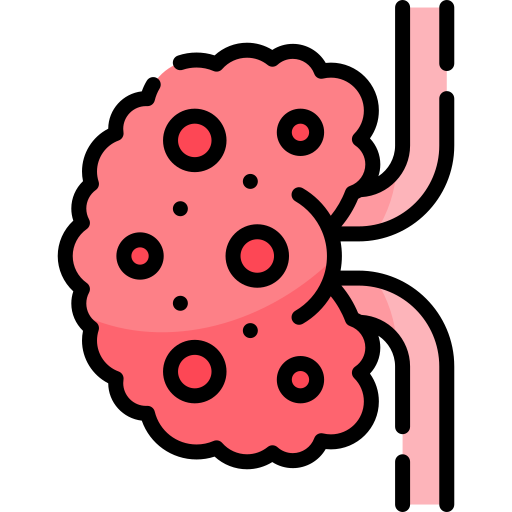 kidney